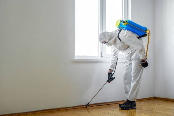 Real Estate Pest Inspections in Alpha, NJ